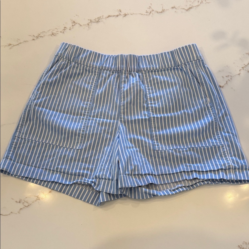 J. Crew Light Blue Striped Women's Shorts